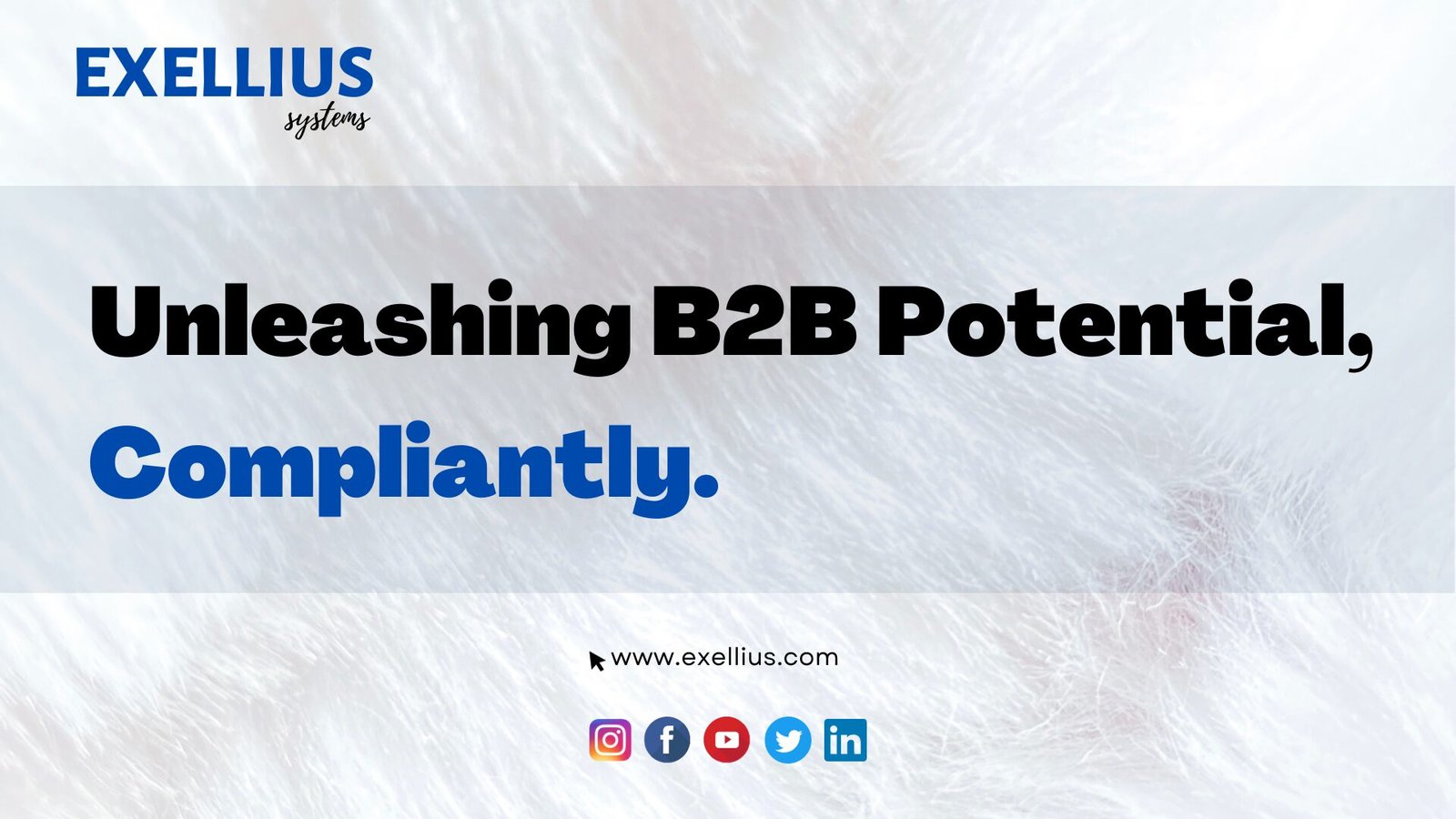 Unleashing B2B Potential